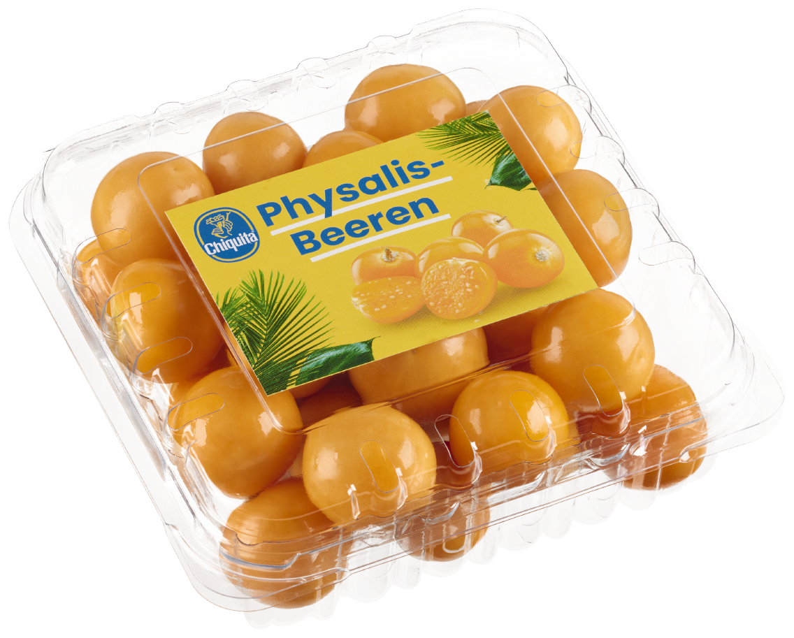 Chiquita Physalis, ohne Blatt, aus Kolumbien