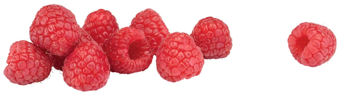 Driscoll's Himbeeren