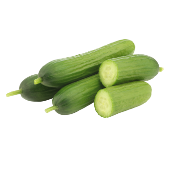 Deutschland - meinLand - Mini-Gurken