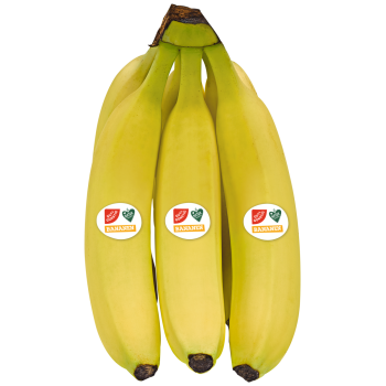 Costa Rica - GUT & GÜNSTIG - Bananen