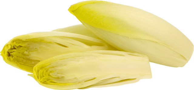 Unsere Heimat – echt & gut Chicoree