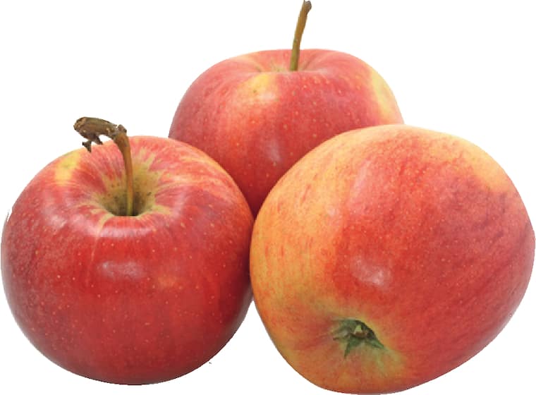 Bio-Tafeläpfel „Gala“