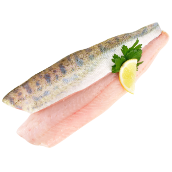 Zanderfilet (mit Haut)