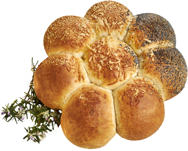 Aus der SB-Backstation: ²Partykranz 