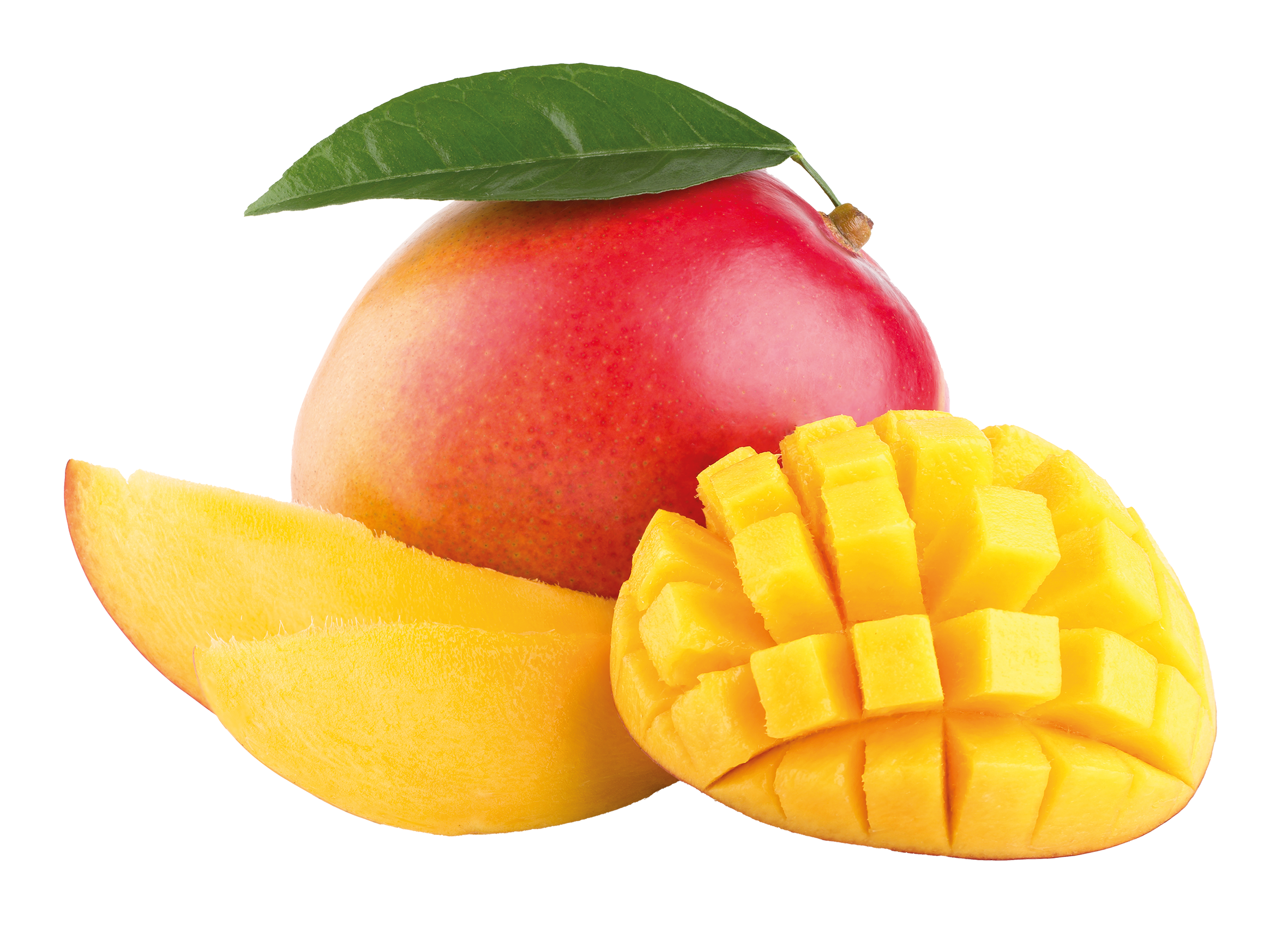 Israel GUT&GÜNSTIG Mango
