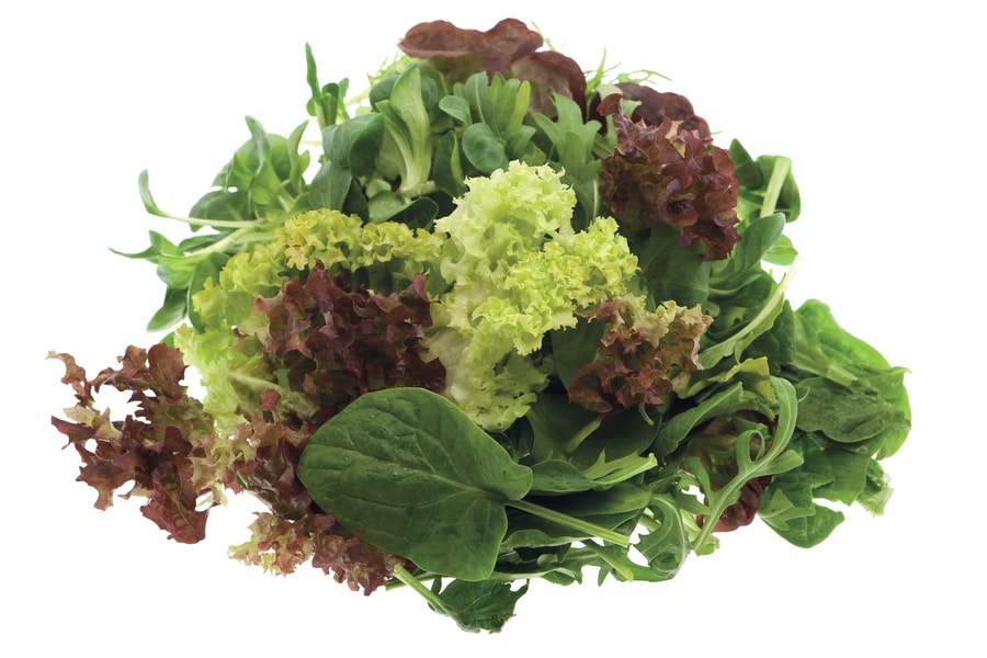 EDEKA Bio Bio-Salat