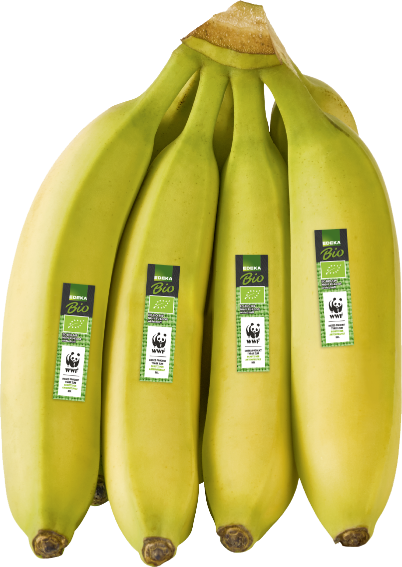 EDEKA Bio WWF Bananen