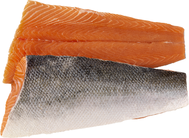 Frische Lachsfilets