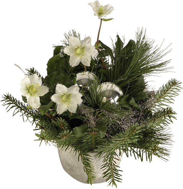 ¹Betonkeramik mit Christrose