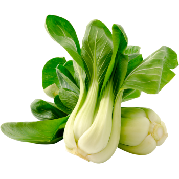 Deutschland - meinLand - Mini-Pak-Choi