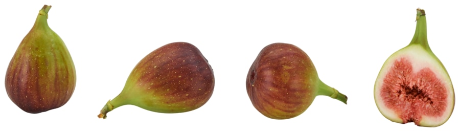 Feigen