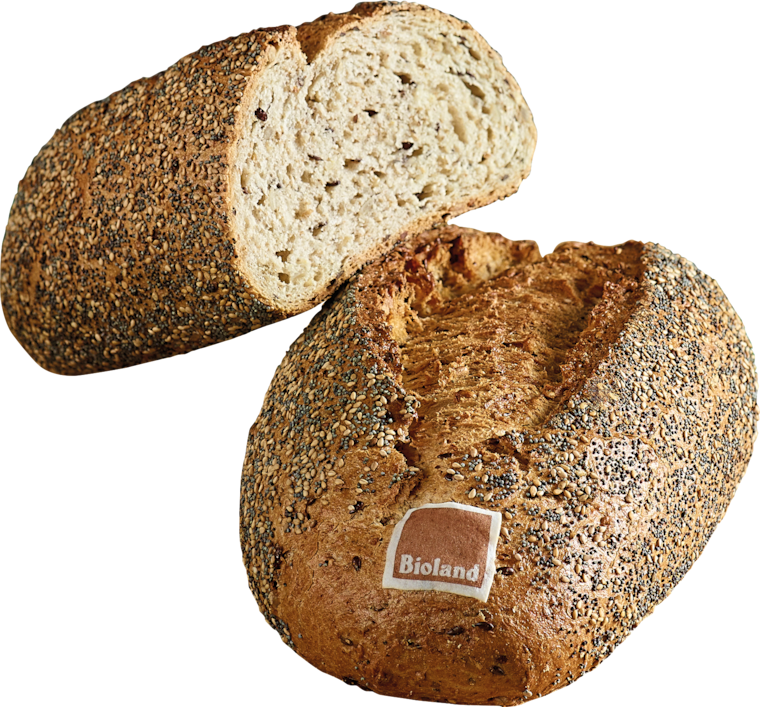 Bioland Mehrkornbrot