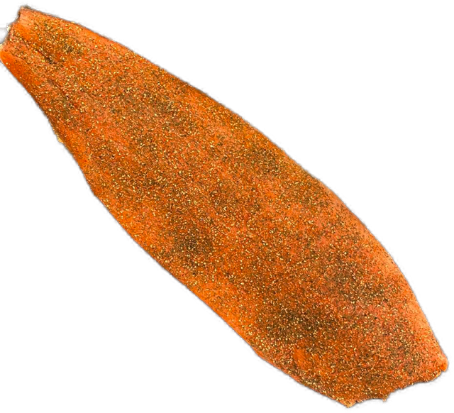 Scheck’s Hauslachs
