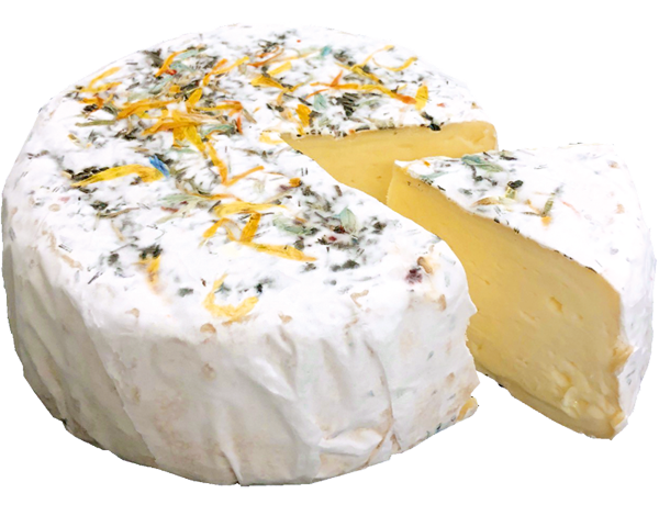 Bio-Dorfkäse