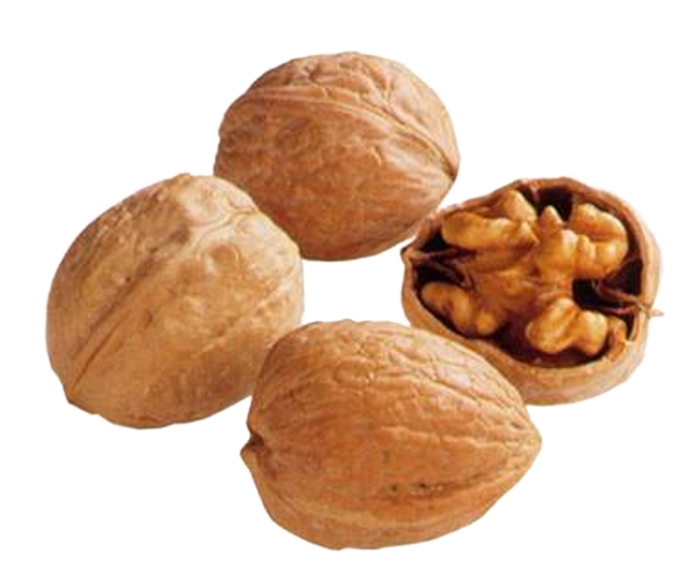 Walnüsse, Erdnüsse oder Haselnüsse