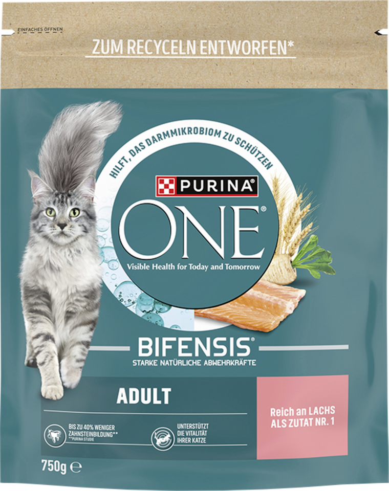 Purina One Katzen-Trockennahrung