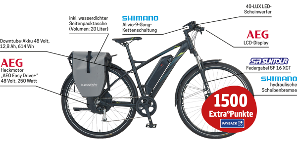 Prophete "22.EMS.10" Trekking-E-Bike