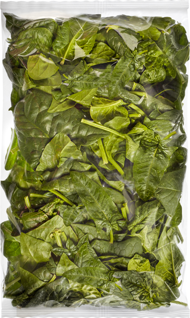 Mittwoch bis Samstag: Blattspinat 