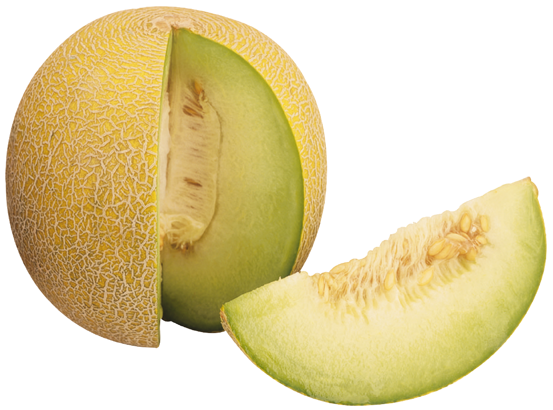 Galia Melonen
