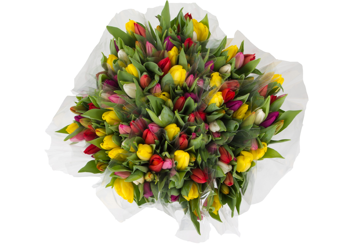 Tulpen Karneval