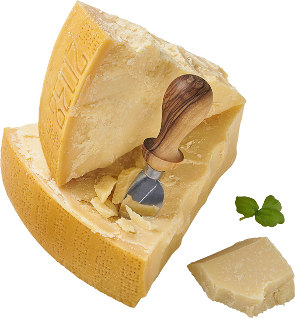 Parmigiano Reggiano DOP