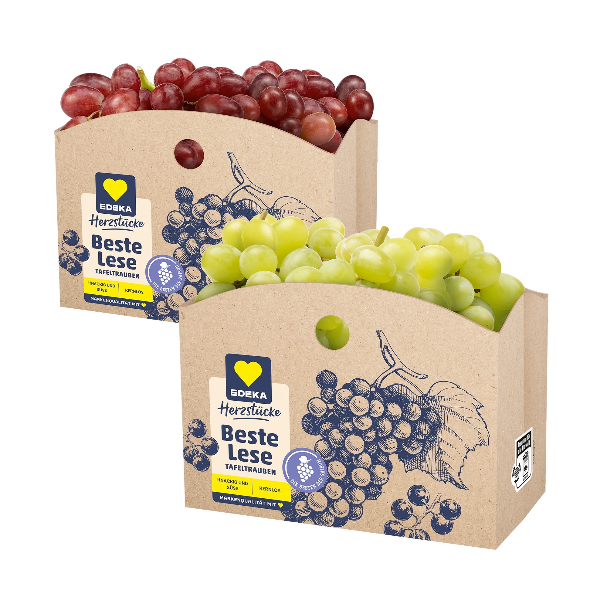 EDEKA Herzstücke Beste Lese Taufeltrauben hell oder rot