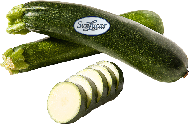 SanLucar Zucchini