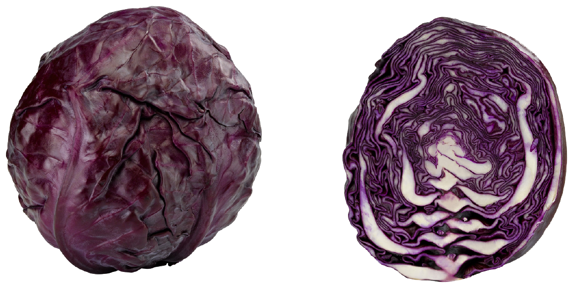 Unsere Heimat Rotkohl oder Weißkohl aus Norddeutschland