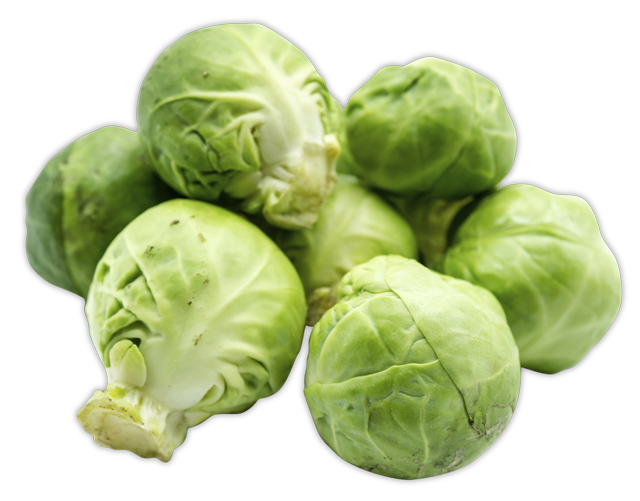 Rosenkohl