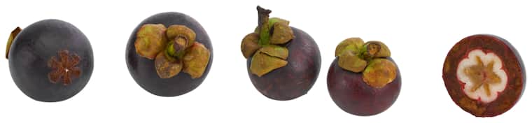 Mangostan