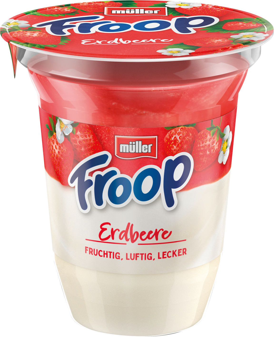 Müller Froop