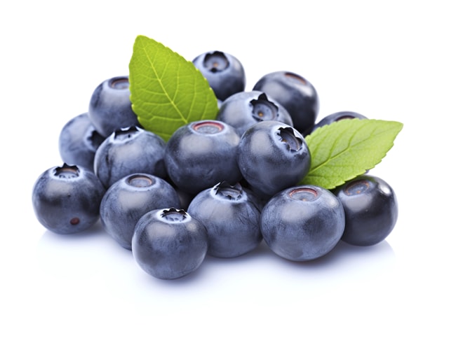Unsere Heimat – echt & gut Heidelbeeren