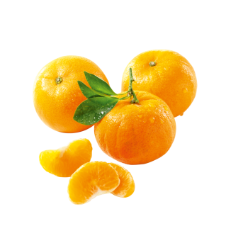 Südafrika - Mandarinen