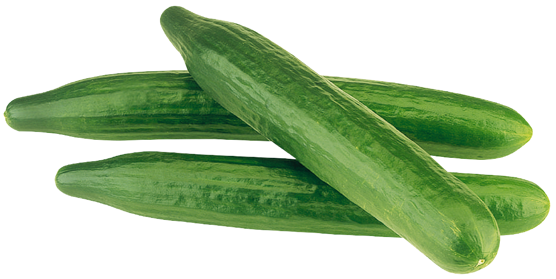 GU`T&GÜNSTIG Salatgurken