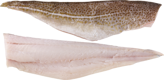 Frische Skrei-Filets 