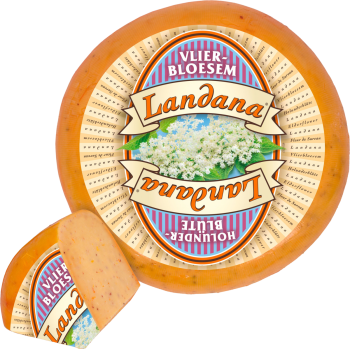 Landana