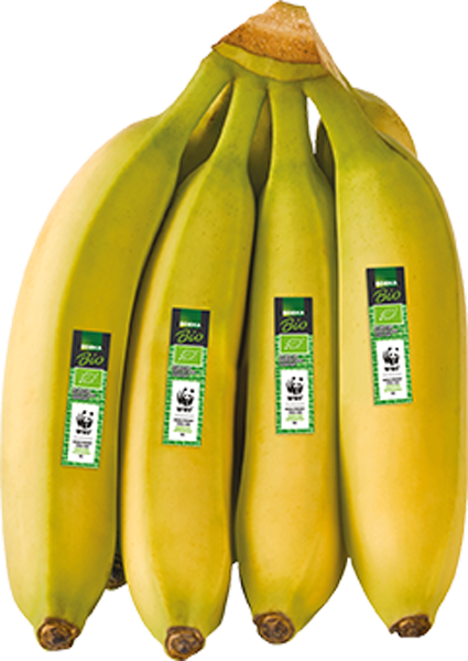 Ecuador EDEKA Bio Bananen