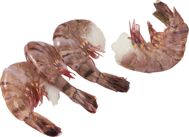 Ab Donnerstag erhältlich: Riesengarnelenschwänze 8/12 