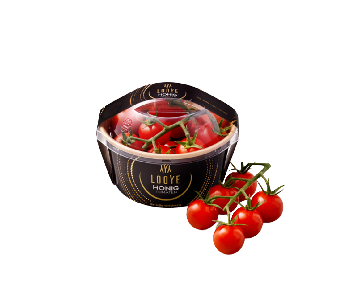 Looye Cherry Rispentomaten aus den Niederlanden