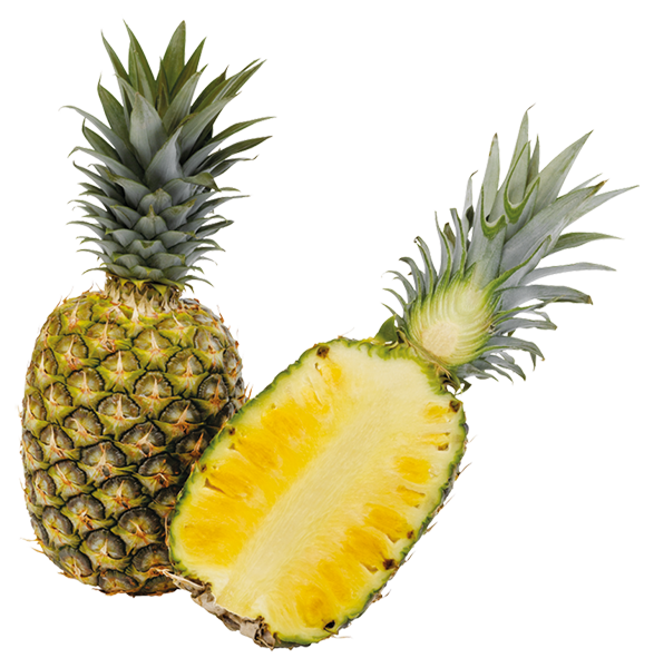 Rosta Rica Ananas