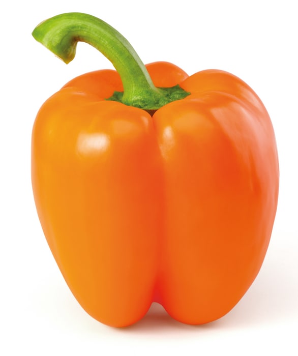 Paprika