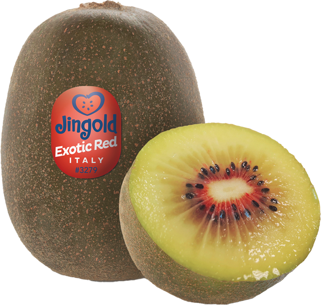 Kiwis Jingold „Exotic Red“ 