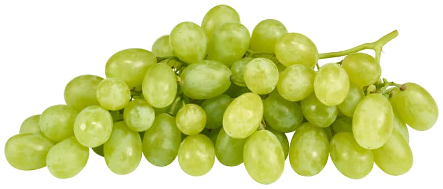 Bio-Tafeltrauben