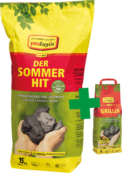 Sommer-Hit Premium-Buchen-Grillholzkohle