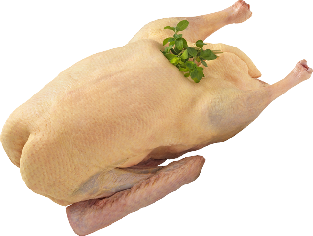 Freitag bis Heiligabend erhältlich: Frische deutsche Gans 