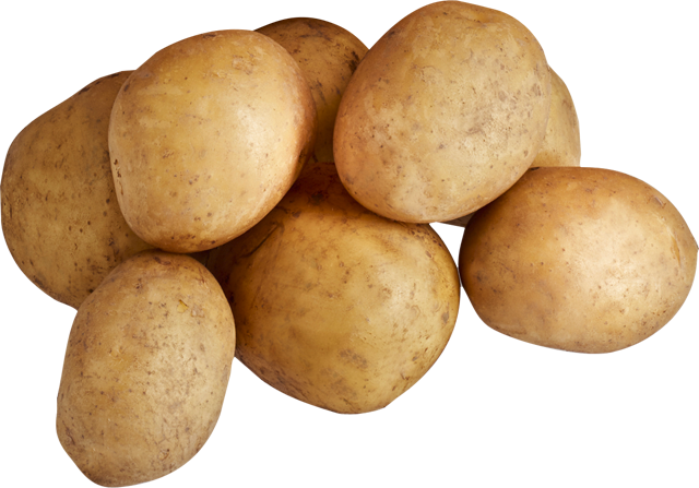 Speisekartoffeln