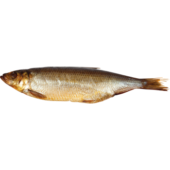 Geräucherter Bückling