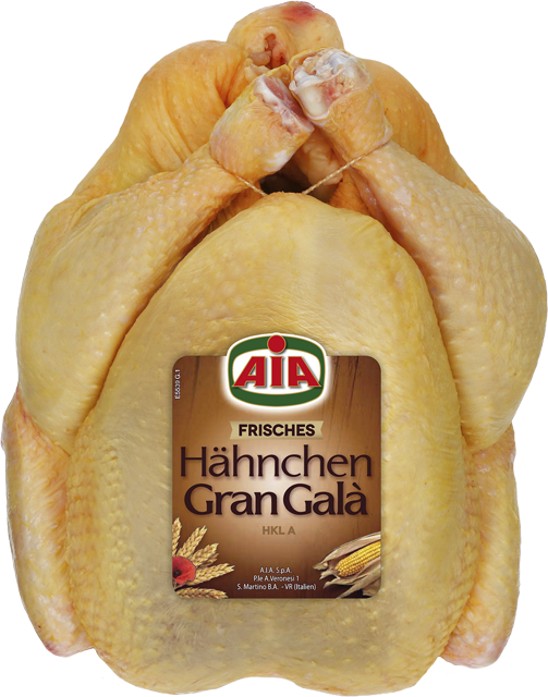 Gran Galà Fleischhahn 