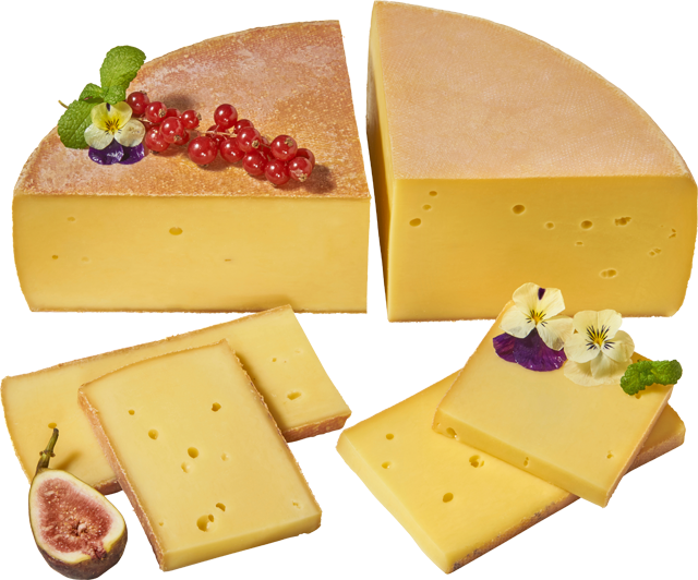 Käse des Monats Bregenzerwälder Bergkäse Zwickel