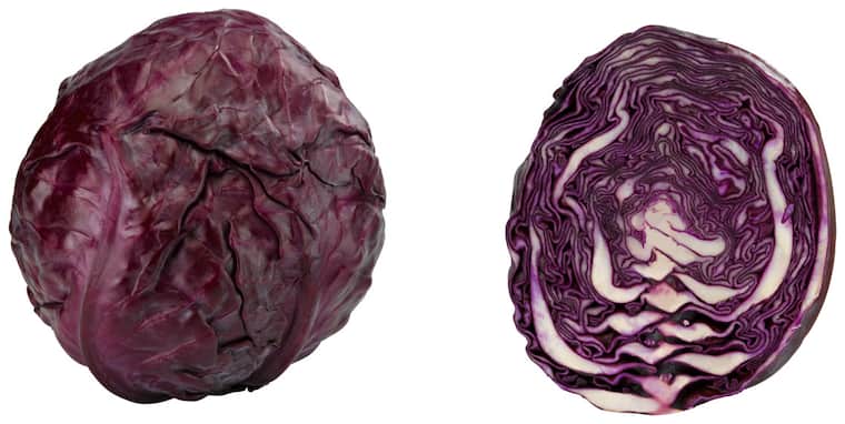 Rotkohl